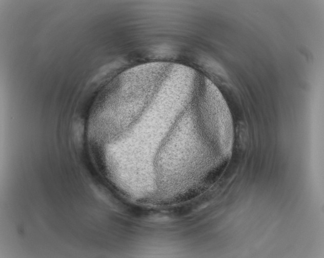 X0000114010550200910161736