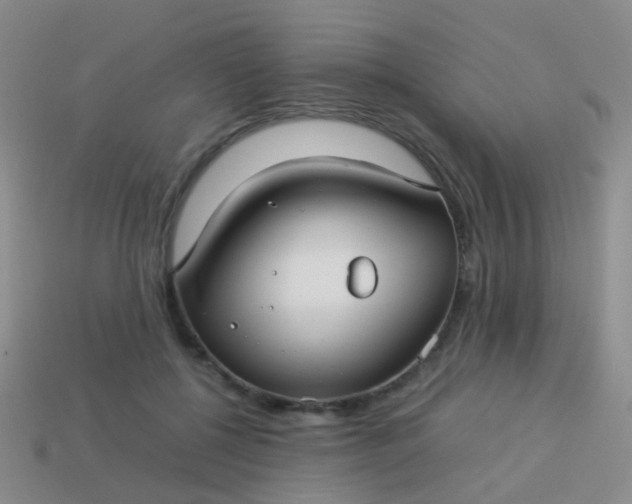 X0000114010552200910161736