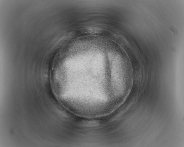 X0000114010553200910161736