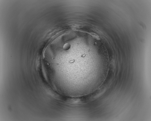 X0000114010554200910161736