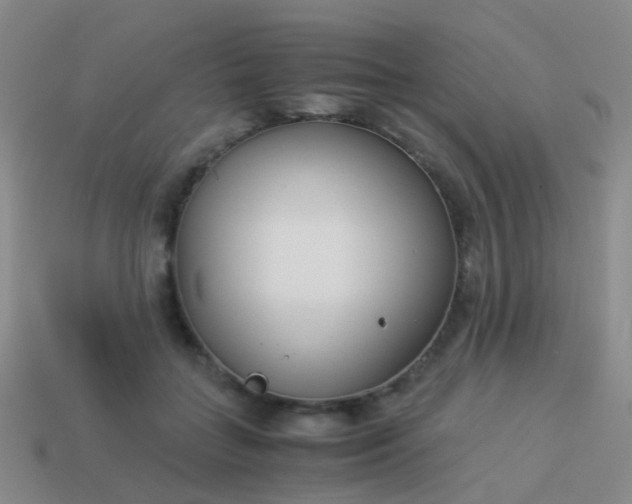 X0000114010555200910161736