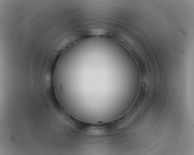 X0000114010556200910161736