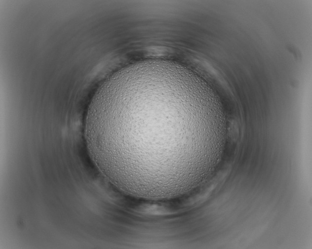 X0000114010557200910161736