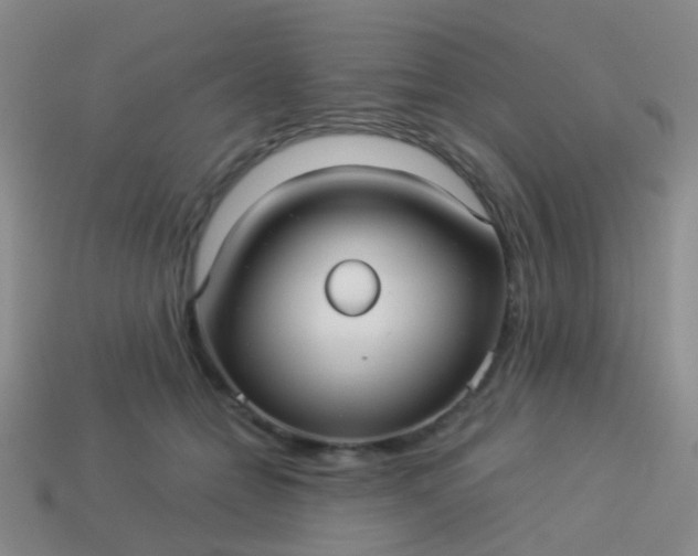 X0000114010558200910161736