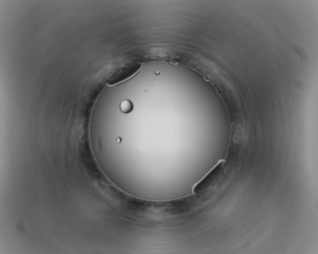 X0000114010560200910161736