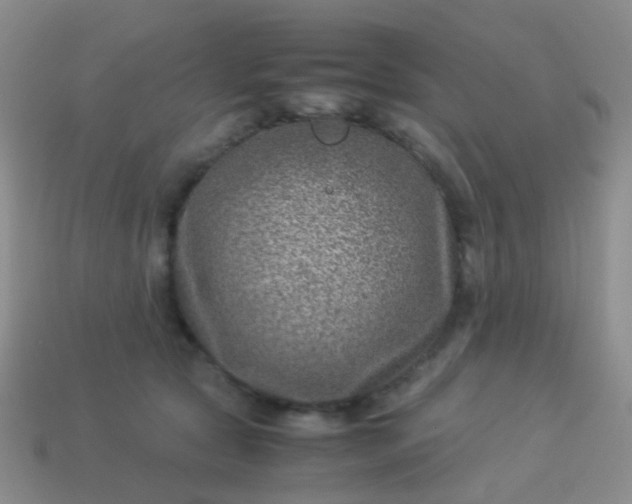 X0000114010561200910161736