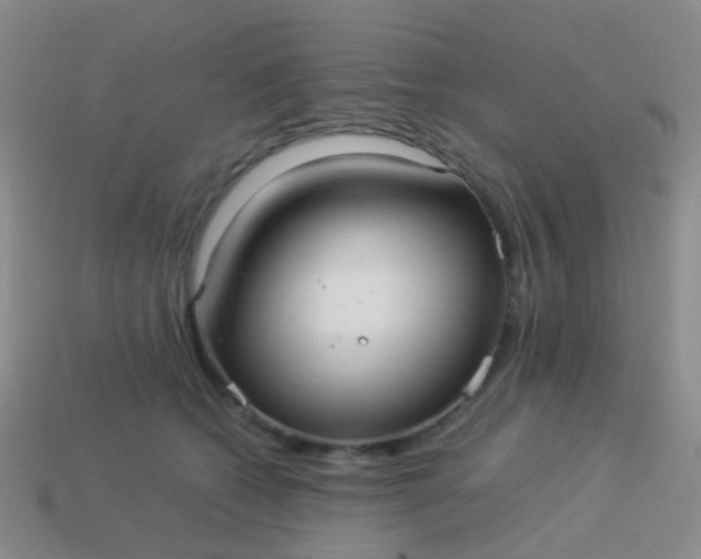 X0000114010562200910161736