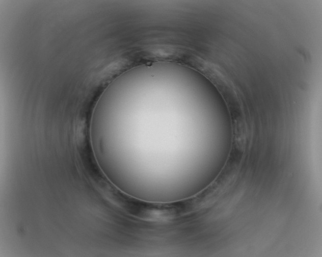 X0000114010563200910161736