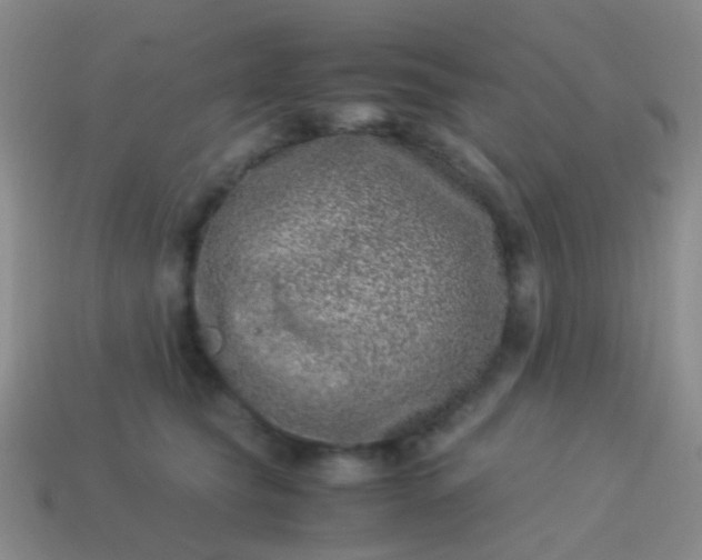 X0000114010565200910161736