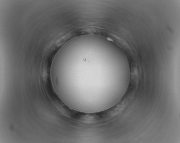 X0000114010566200910161736