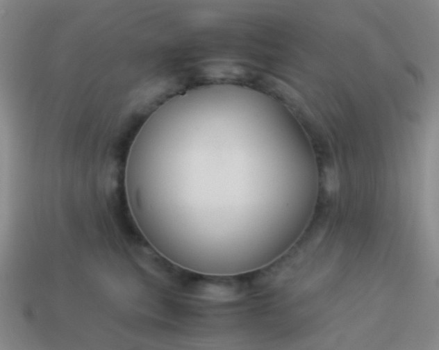 X0000114010567200910161736