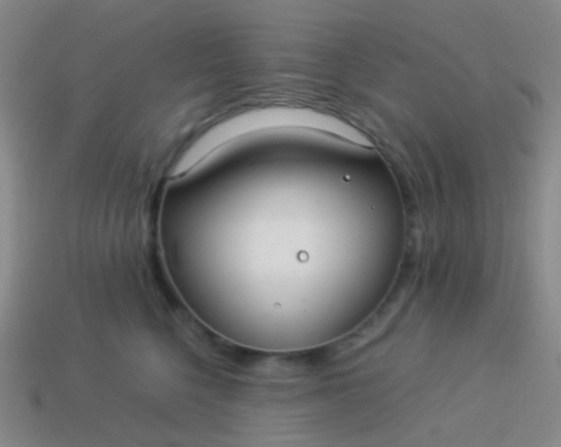 X0000114010568200910161736