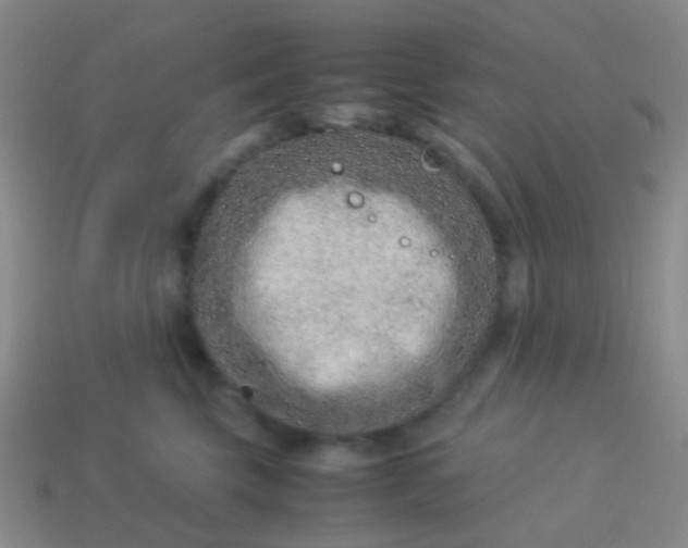 X0000114010569200910161736