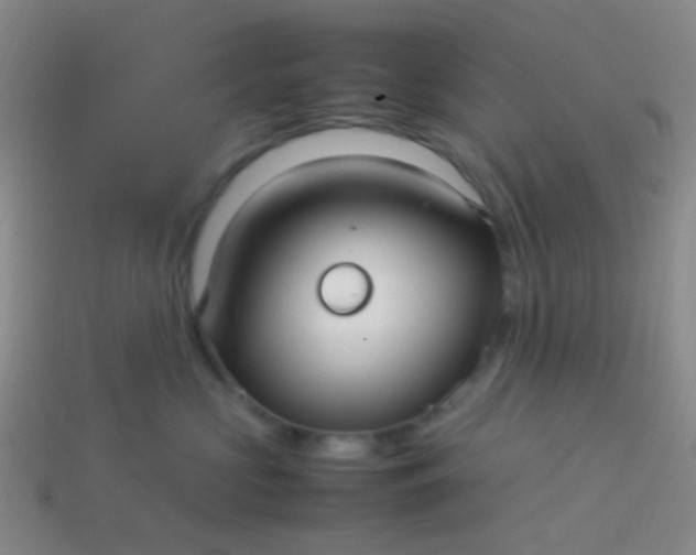 X0000114010573200910161736