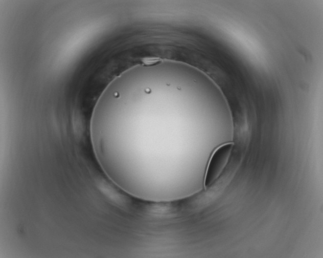 X0000114010574200910161736