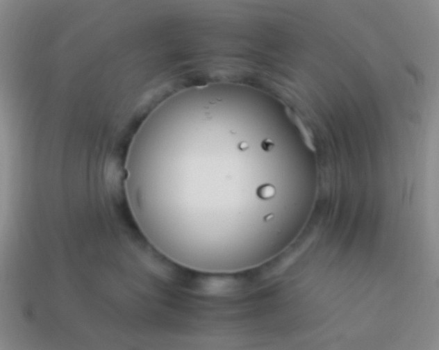 X0000114010575200910161736