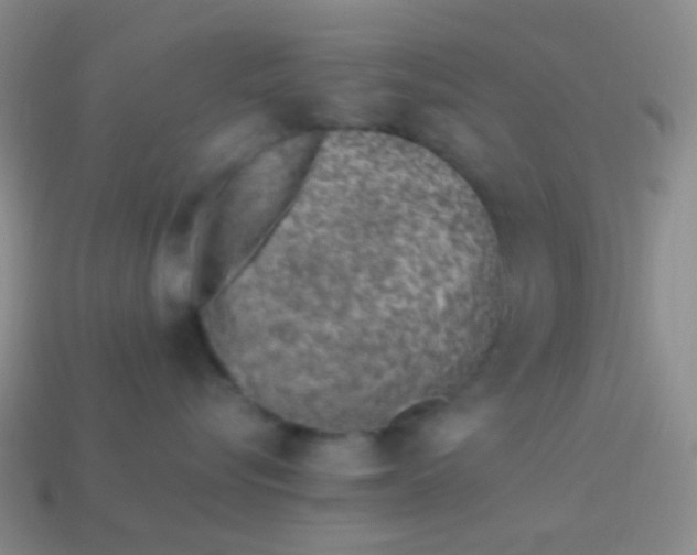 X0000114010576200910161736