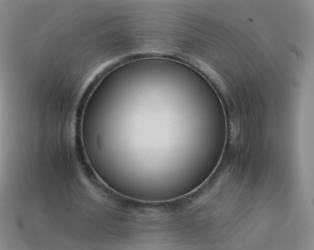 X0000114010580200910161735