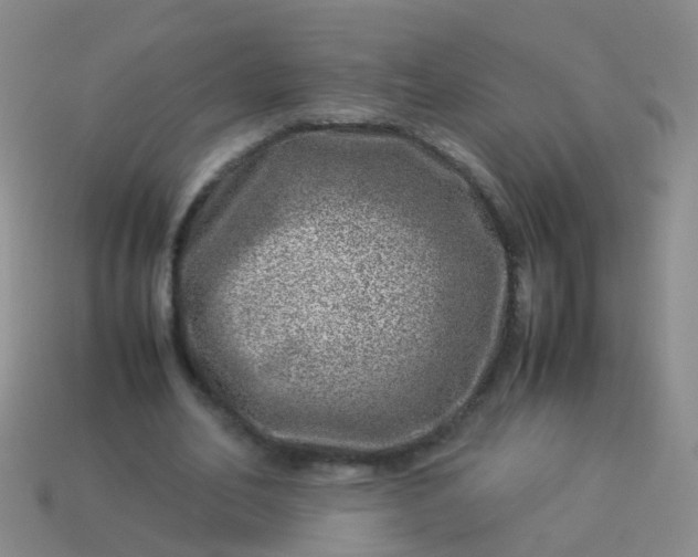 X0000114010582200910161735