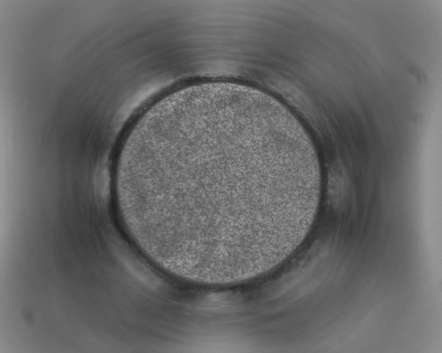 X0000114010584200910161735