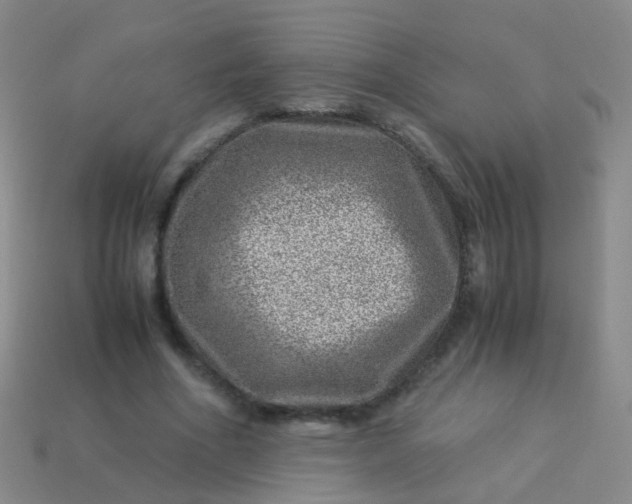 X0000114010586200910161735