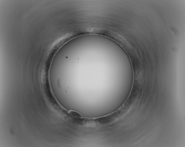 X0000114010587200910161735