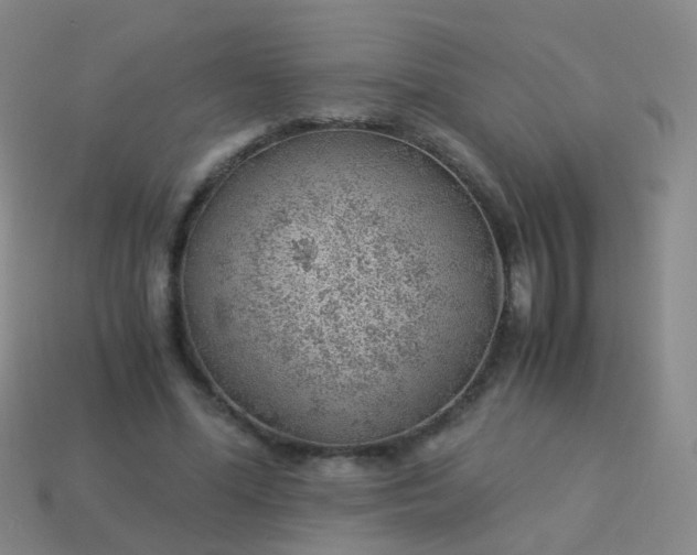 X0000114010588200910161735