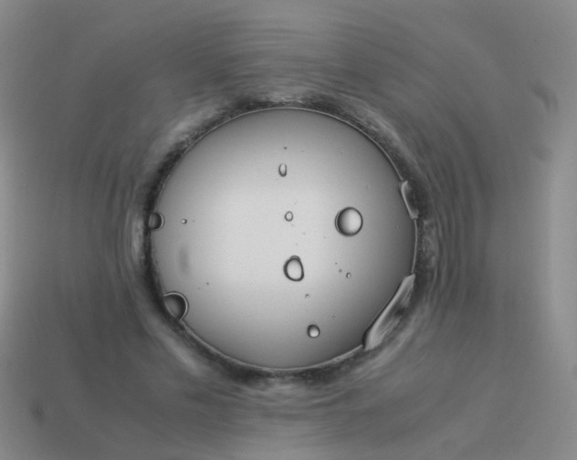 X0000114010589200910161735