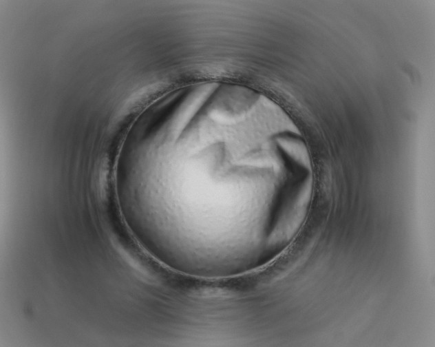 X0000114010590200910161735