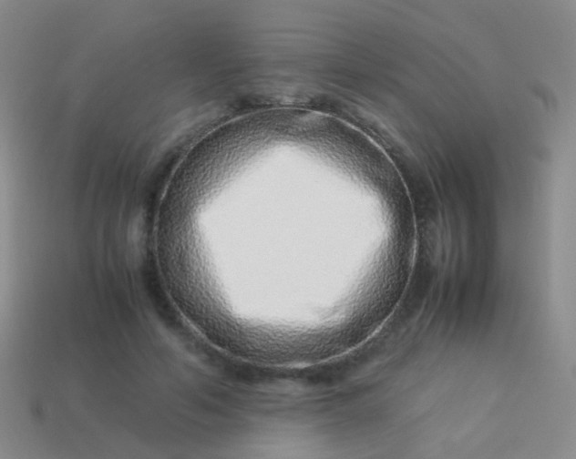 X0000114010594200910161735