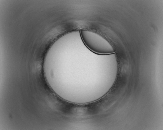 X0000114010595200910161735