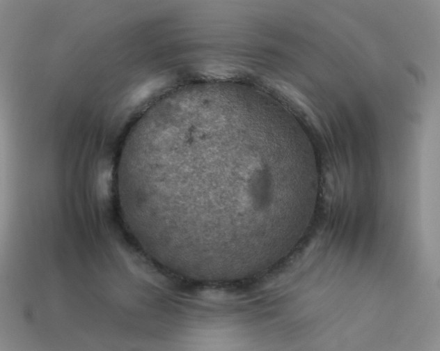 X0000114010596200910161735