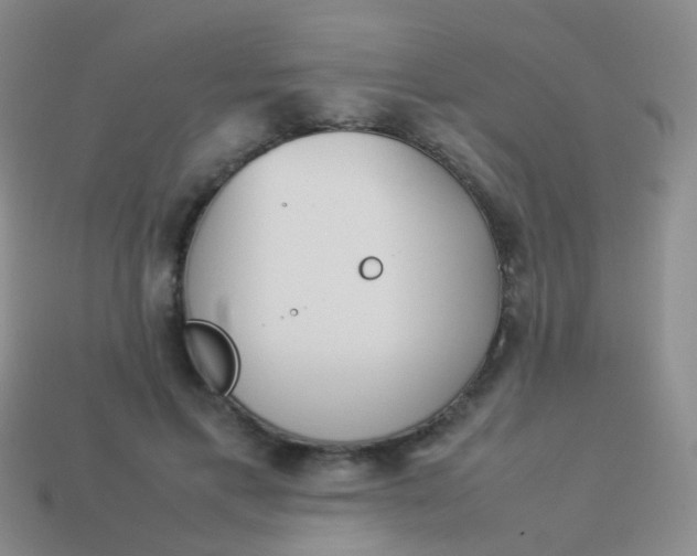 X0000114010597200910161735