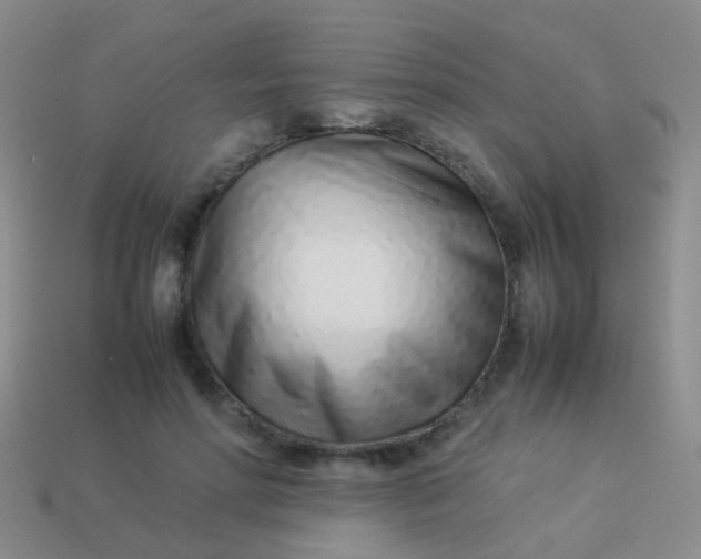 X0000114010598200910161735