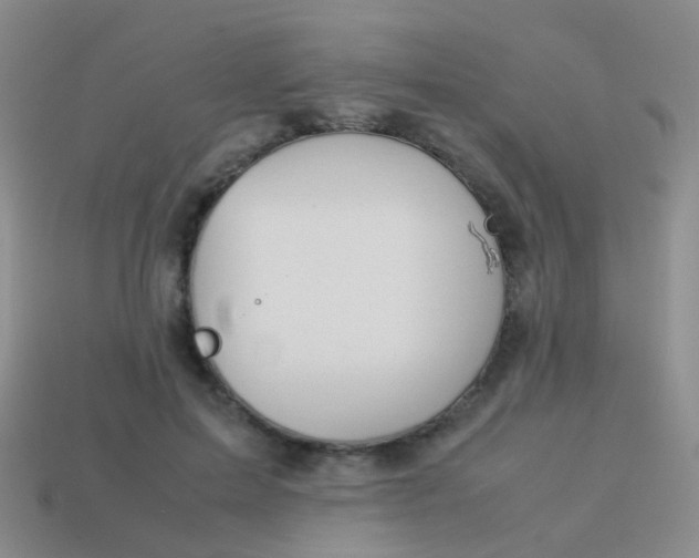 X0000114010599200910161735