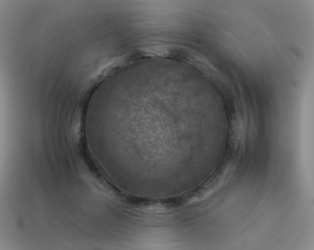 X0000114010600200910161735