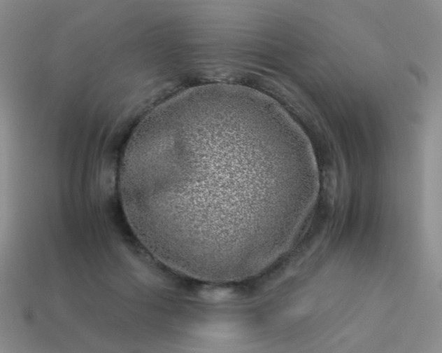 X0000114010602200910161735