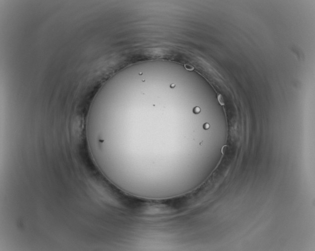 X0000114010605200910161735