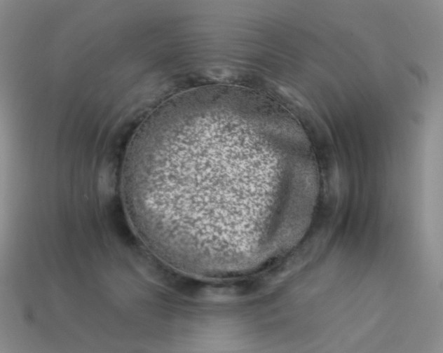 X0000114010606200910161735