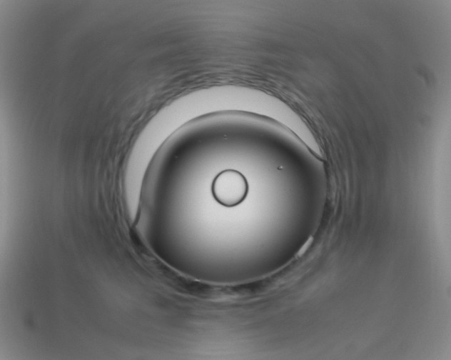 X0000114010613200910161735