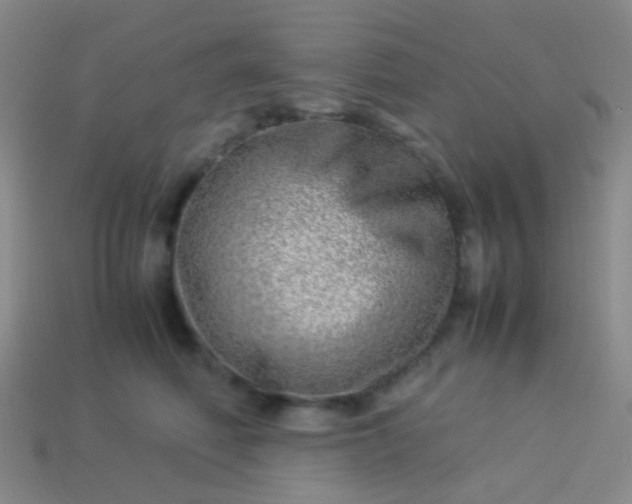 X0000114010614200910161735