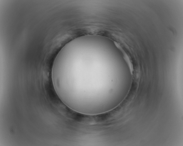 X0000114010615200910161735