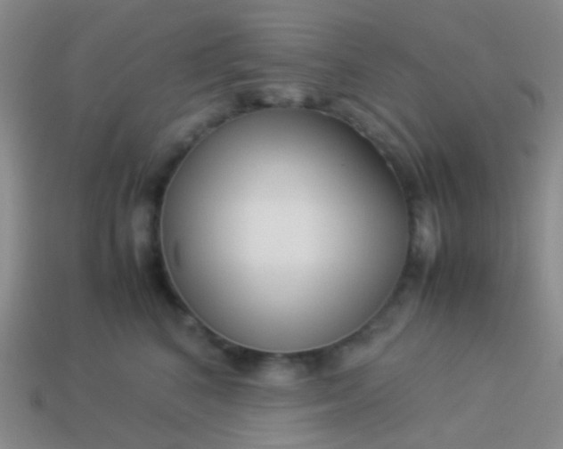 X0000114010616200910161735