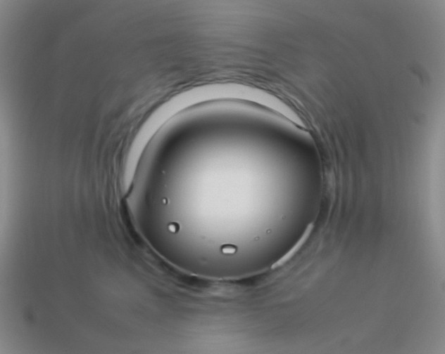 X0000114010617200910161735