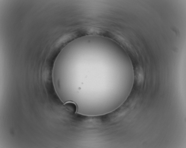 X0000114010619200910161735