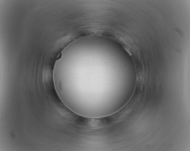 X0000114010623200910161734