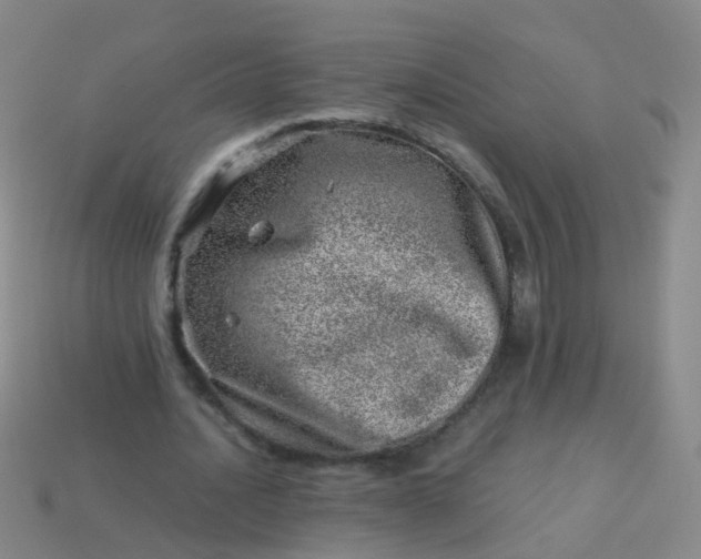 X0000114010628200910161734