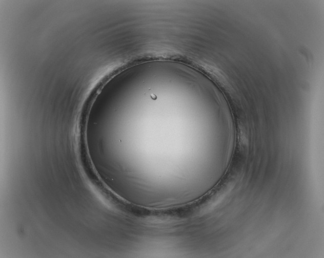 X0000114010630200910161734