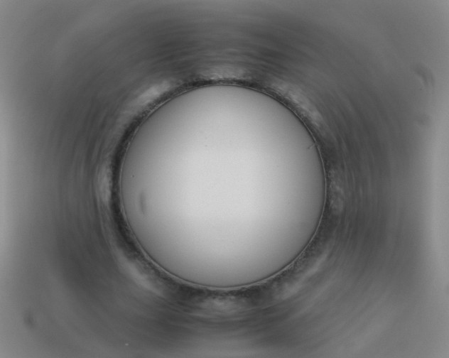 X0000114010631200910161734