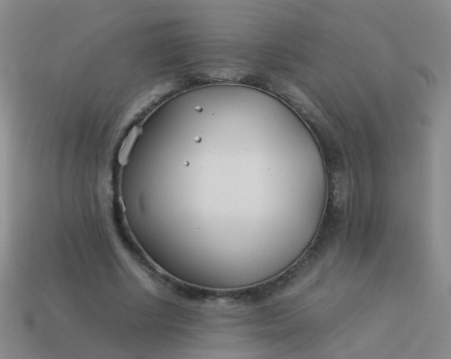 X0000114010634200910161734